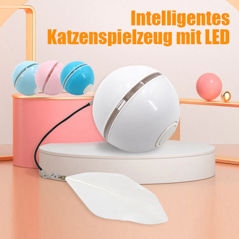 Vorschaubild 1