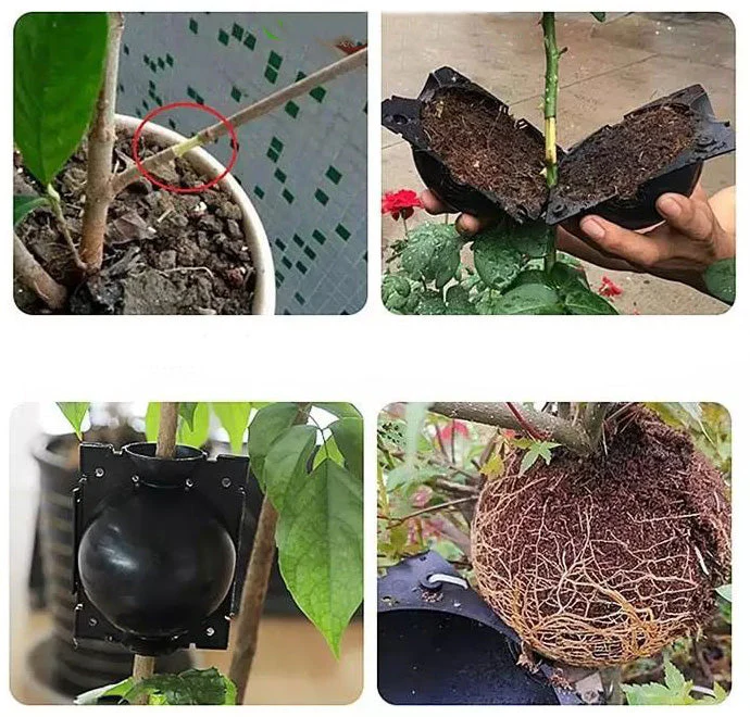 Produktbild 10