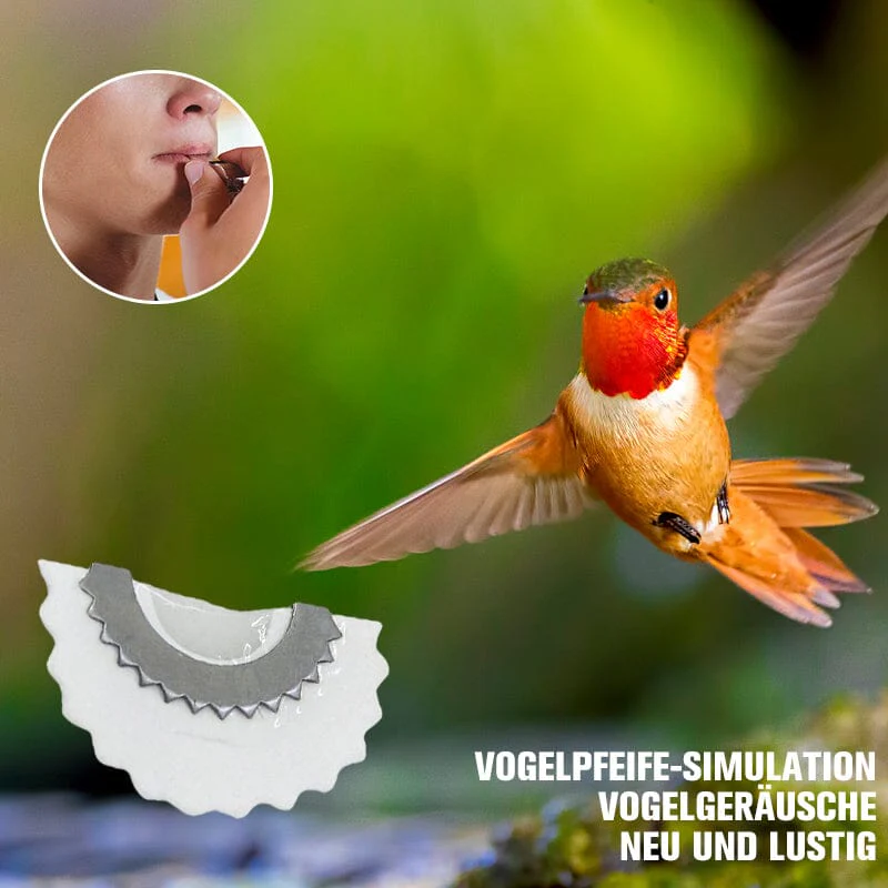Vorschaubild 1